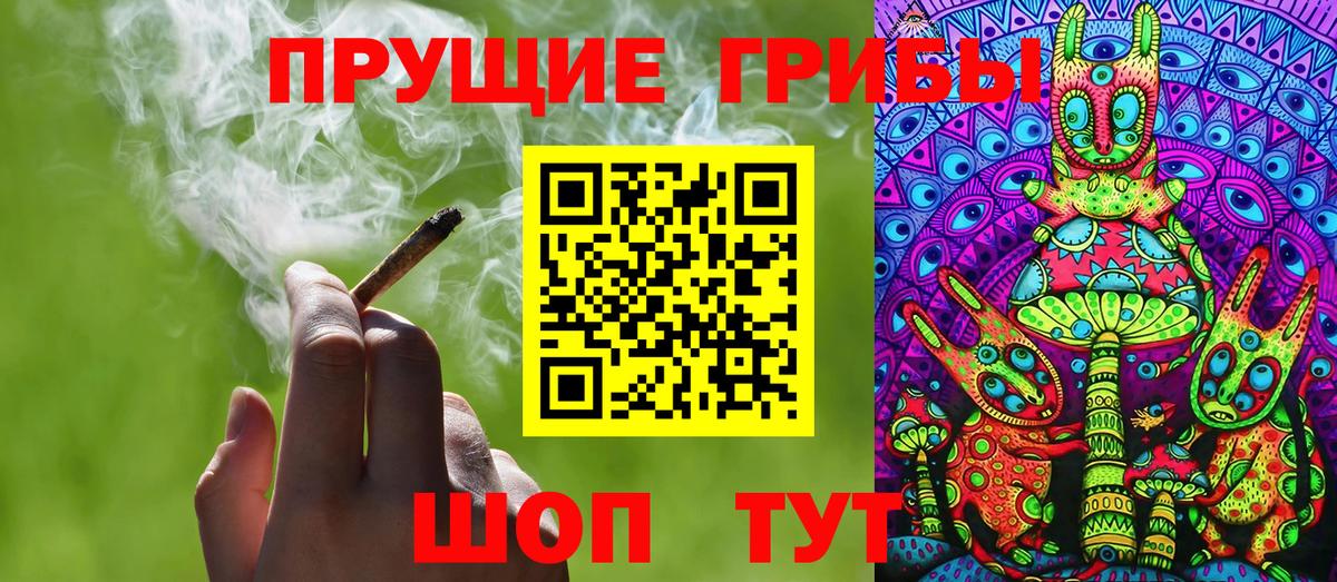 Псилоцибиновые грибы GOLDEN TEACHER Пугачёв
