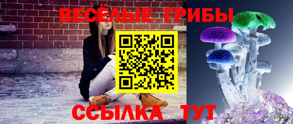 Галлюциногенные грибы MAGIC MUSHROOMS  Вход с VPN  Пугачёв  Галлюциногенные грибы GOLDEN TEACHER 